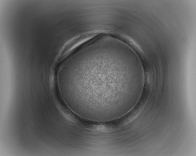 X0000115530588200911131507