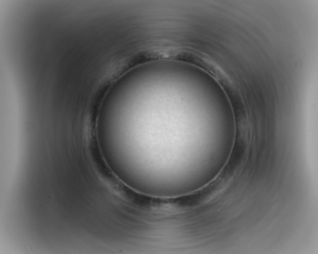 X0000115530594200911131507