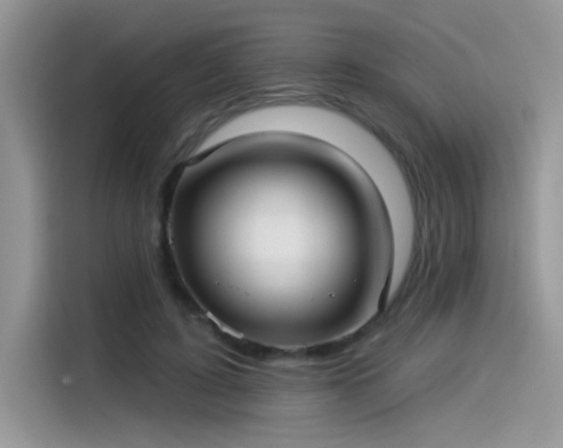 X0000115530595200911131507