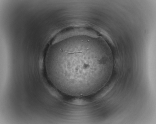 X0000115530596200911131507