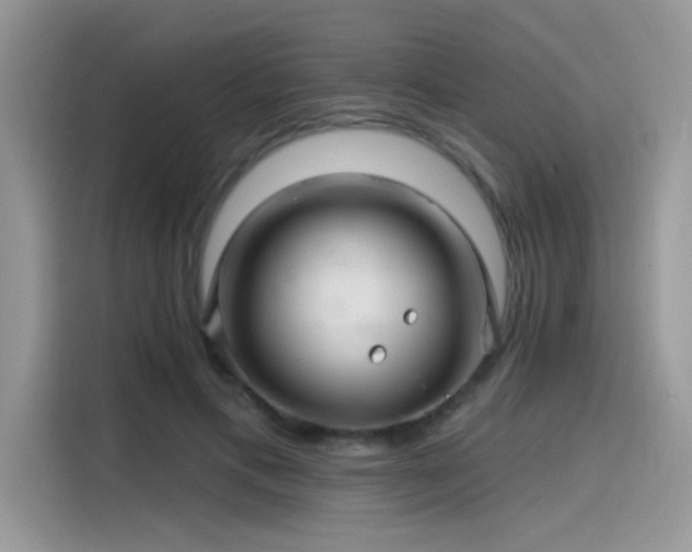 X0000115530597200911131507