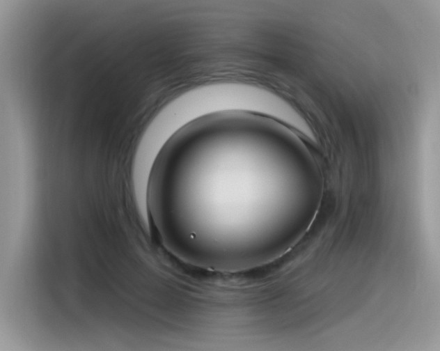 X0000115530599200911131507