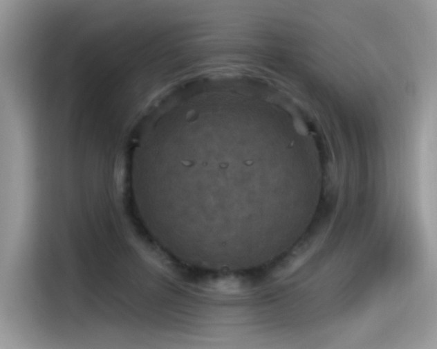 X0000115530600200911131507