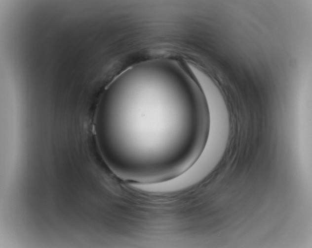 X0000115530601200911131507