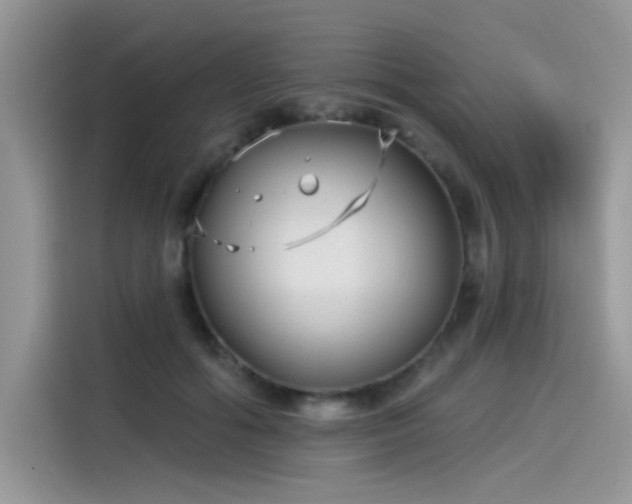 X0000115530602200911131507