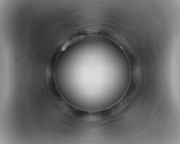 X0000115530608200911131507