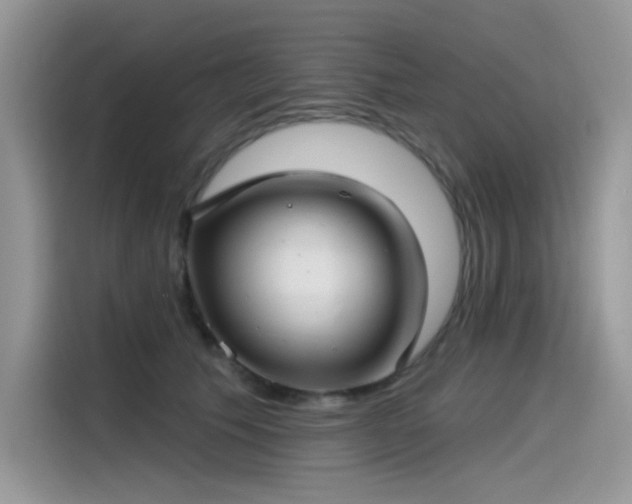 X0000115530609200911131507