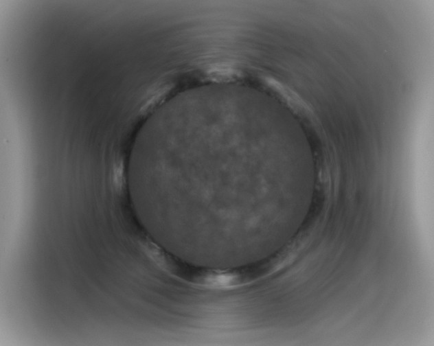 X0000115530610200911131507