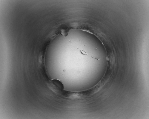 X0000115530611200911131507