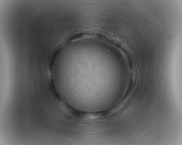 X0000115530613200911131507