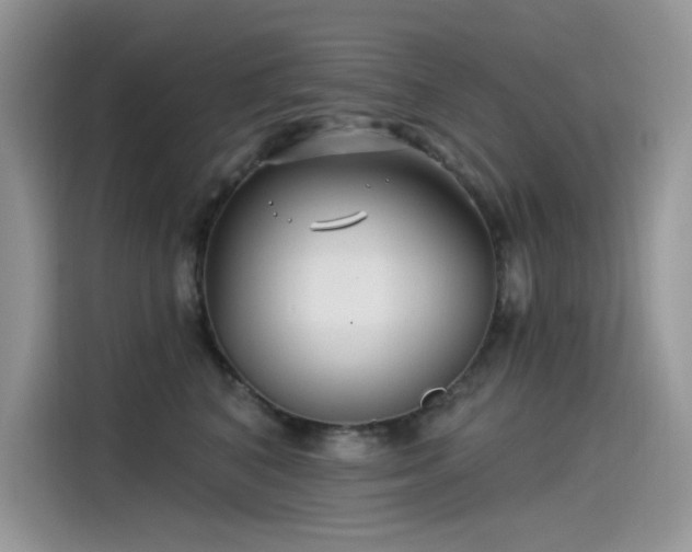 X0000115530616200911131507