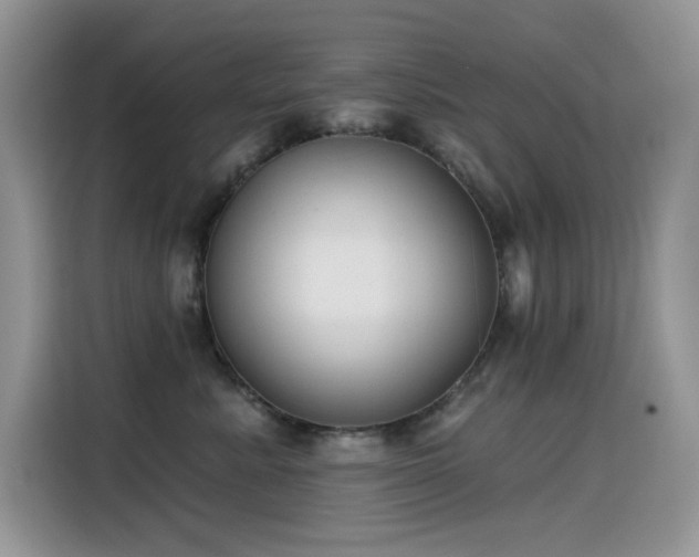 X0000115530619200911131506