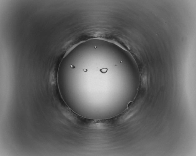 X0000115530620200911131506