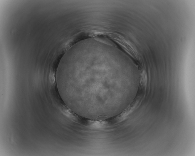 X0000115530621200911131506