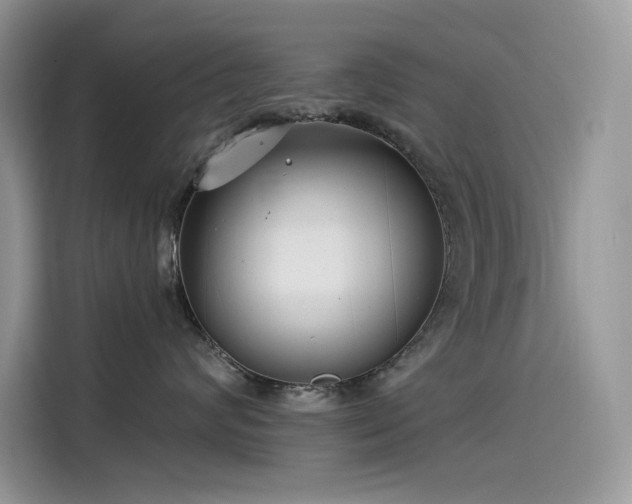 X0000115530624200911131506