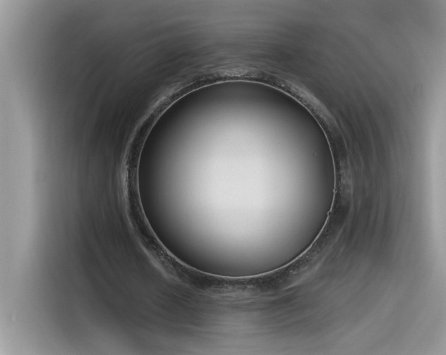 X0000115530626200911131506