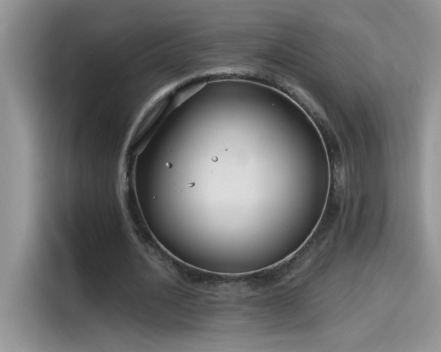 X0000115530628200911131506