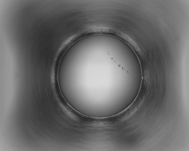 X0000115530629200911131506