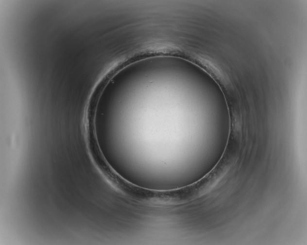 X0000115530630200911131506