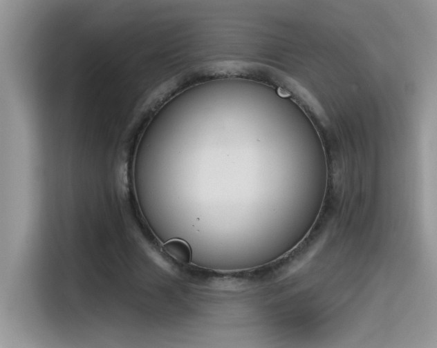 X0000115530633200911131506