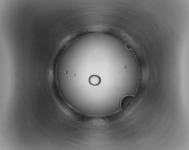 X0000115530636200911131506