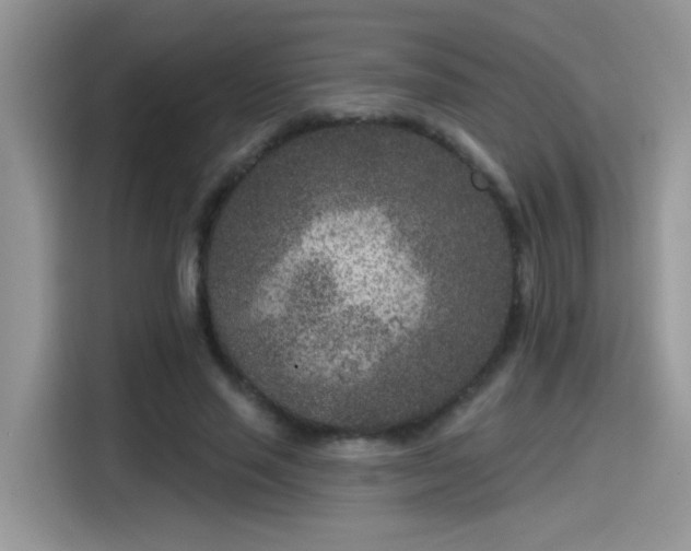 X0000115530637200911131506