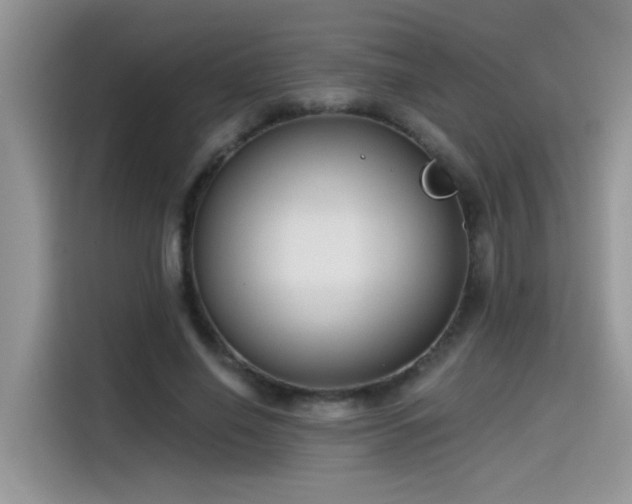 X0000115530638200911131506