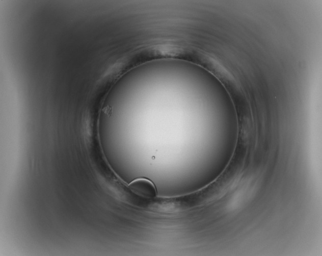 X0000115530639200911131506