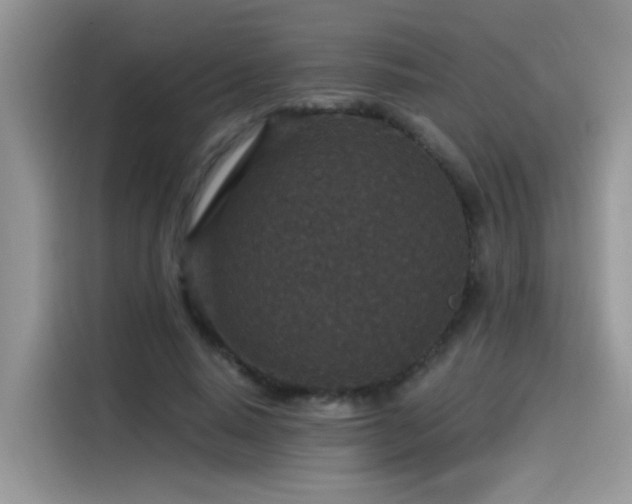 X0000115530640200911131506