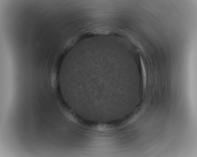 X0000115530641200911131506