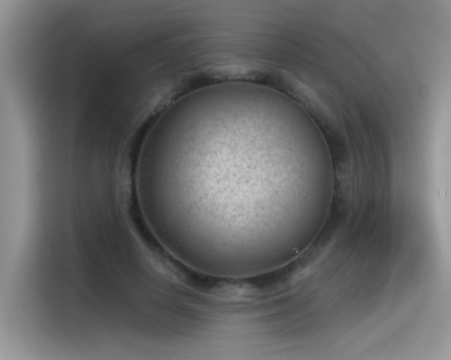 X0000115530642200911131506