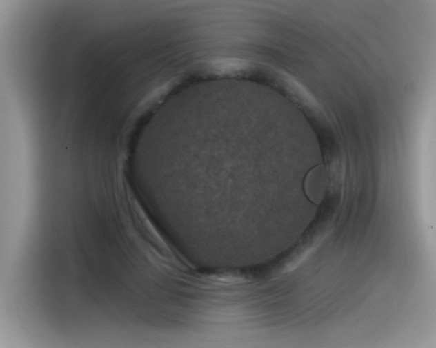 X0000115530644200911131506