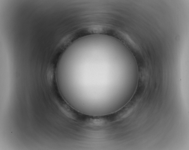 X0000115530645200911131506