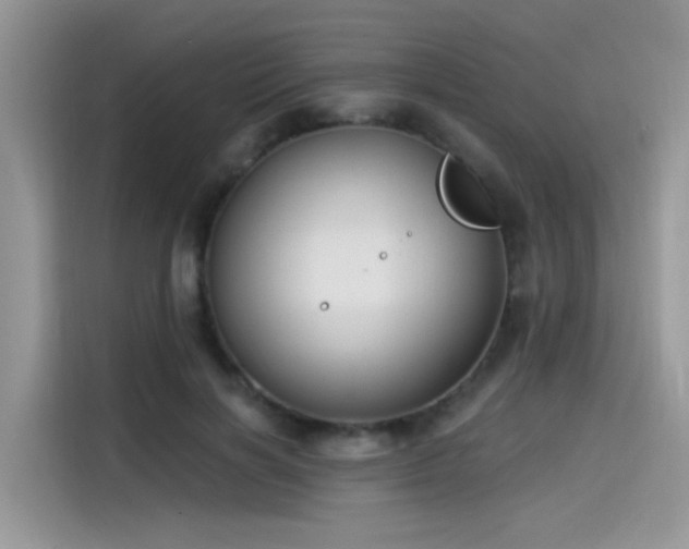 X0000115530646200911131506