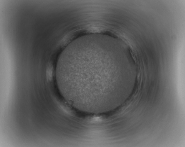 X0000115530647200911131506