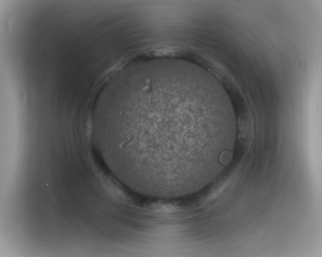 X0000115530648200911131506