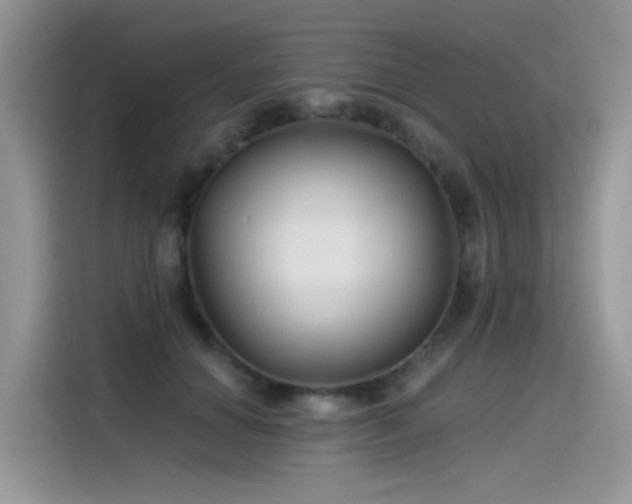 X0000115530654200911131506