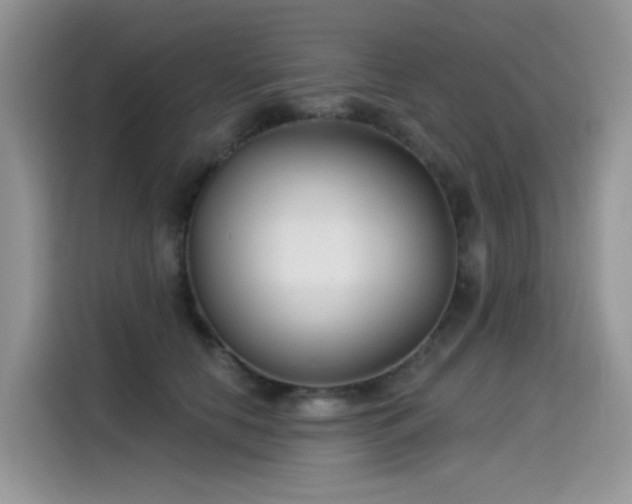 X0000115530658200911131506