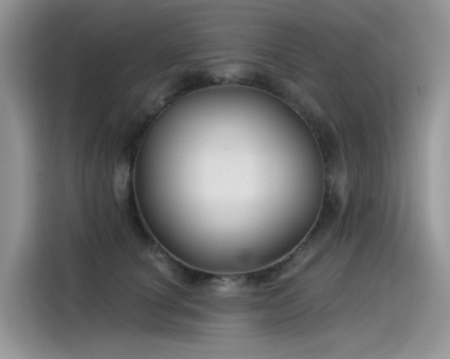 X0000115530660200911131506