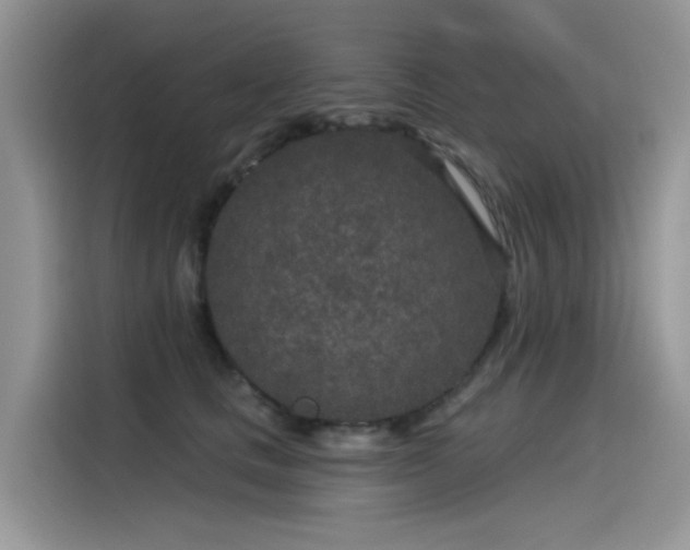 X0000115530661200911131506