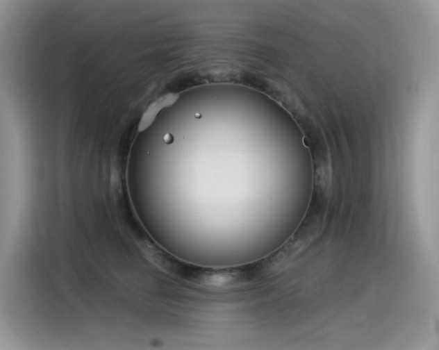 X0000115530662200911131506