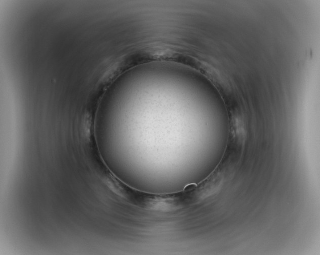 X0000115530664200911131506