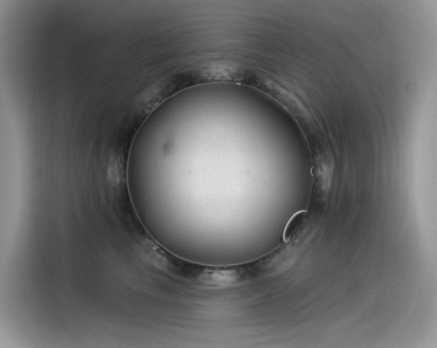 X0000115530665200911131506