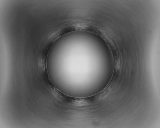 X0000115530666200911131506