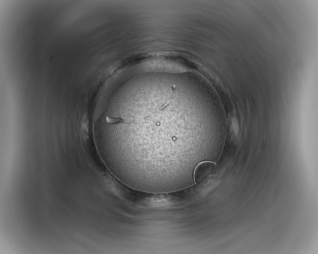 X0000115530668200911131506