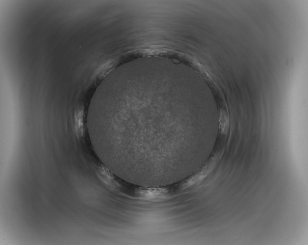 X0000115530670200911131506