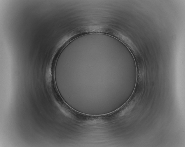 X0000115530674200911131506