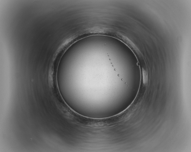 X0000115530675200911131506