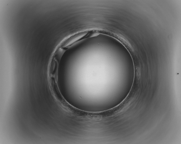 X0000115530676200911131506