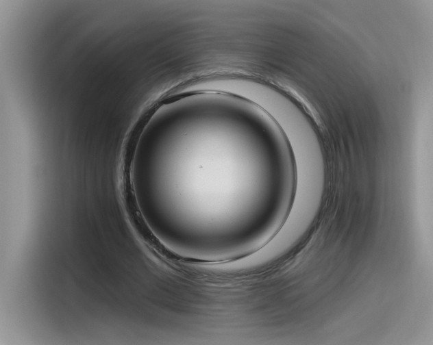 X0000115530677200911131506